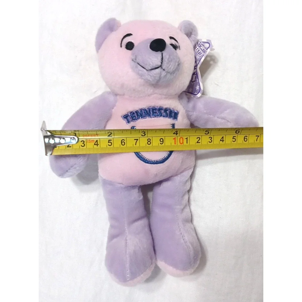 Sugar Loaf Two Bits Tennessee 16th USA Flag Pink Purple Plush Bear 8 1/2